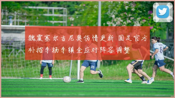魏震塞尔吉尼奥伤情更新 国足官方补招李杨李镇全应对阵容调整