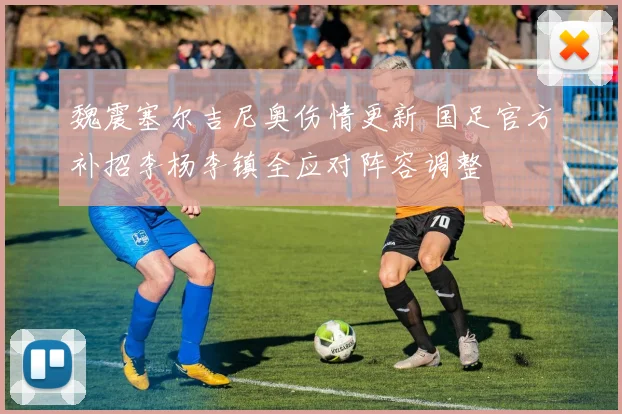 魏震塞尔吉尼奥伤情更新 国足官方补招李杨李镇全应对阵容调整