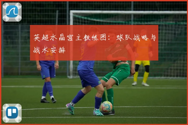 英超水晶宫主教练图:球队战略与战术安排